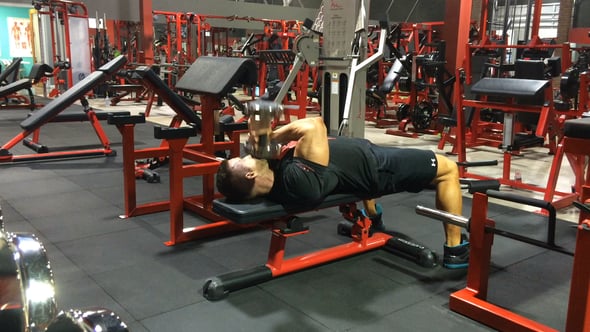 Arms