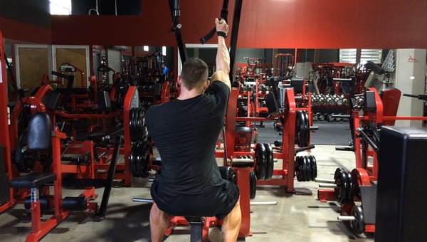 Back & Delts