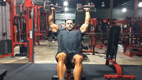 Delts