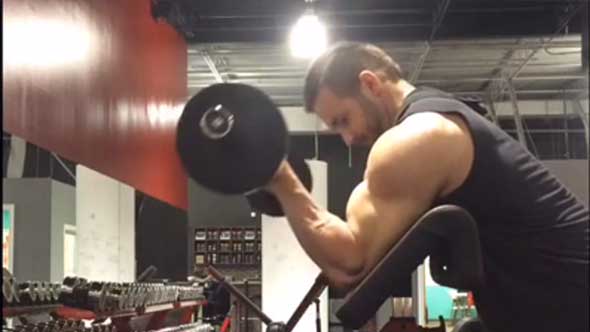 Arms
