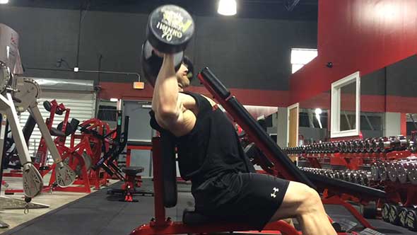 Delts