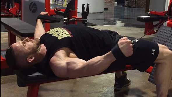 Delts