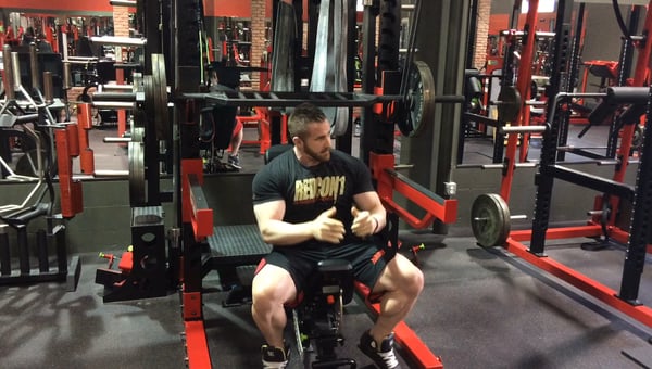 Delts