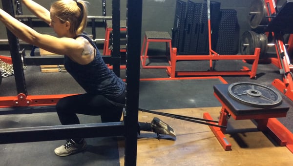 Glutes