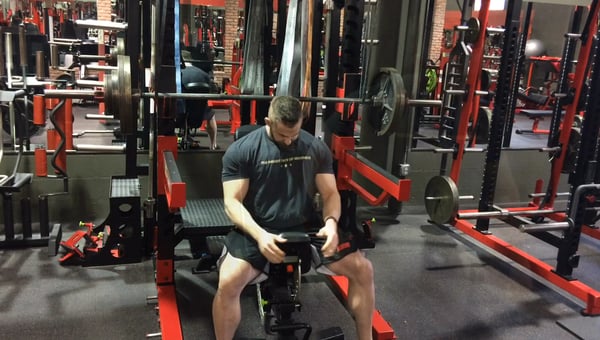 Chest & Delts