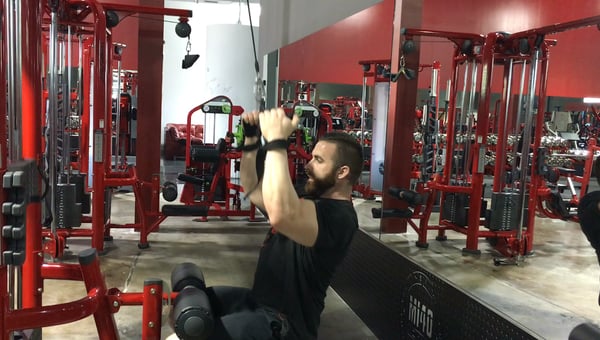 Back & Biceps