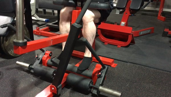 Quads & Hams