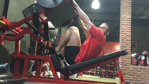 Hams Glutes & Calves