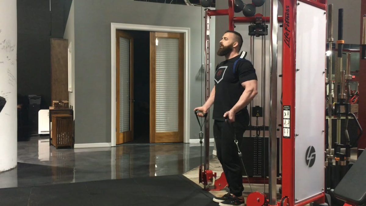 Biceps 101