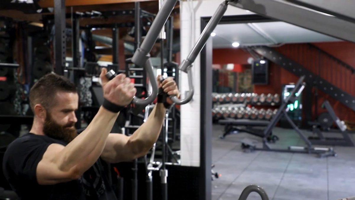 Back & Bicep Workout