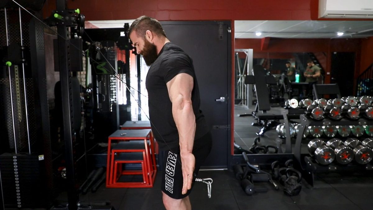 Arms & Calves CEEPrep