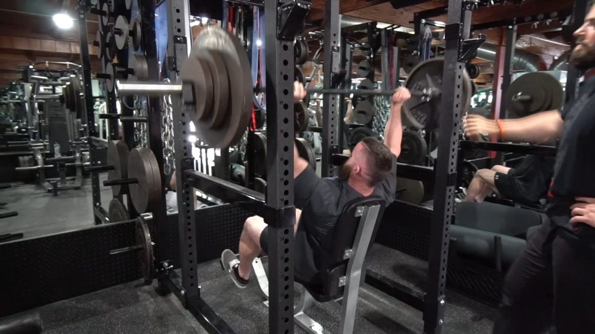 Delts