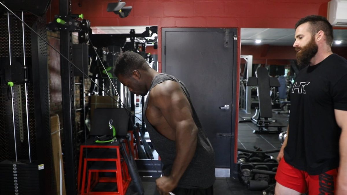 Arms/Elbows Activations
