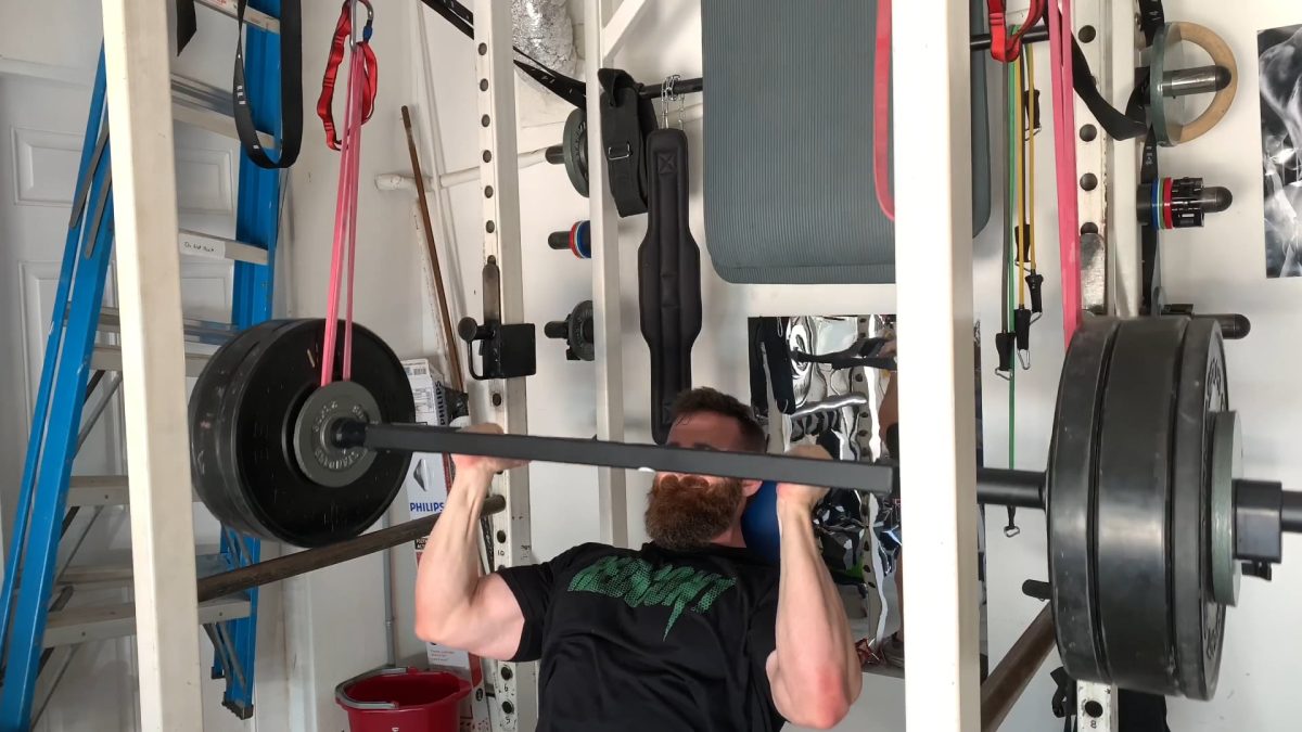 Delts