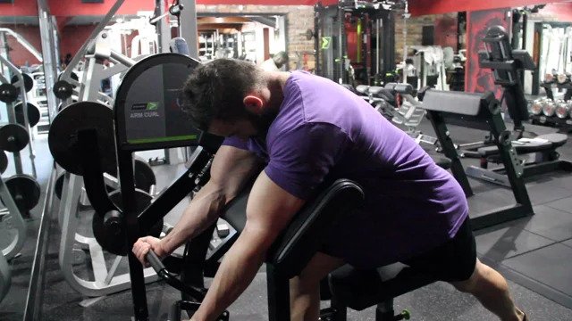 Arms & Calves