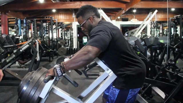 Back & Biceps