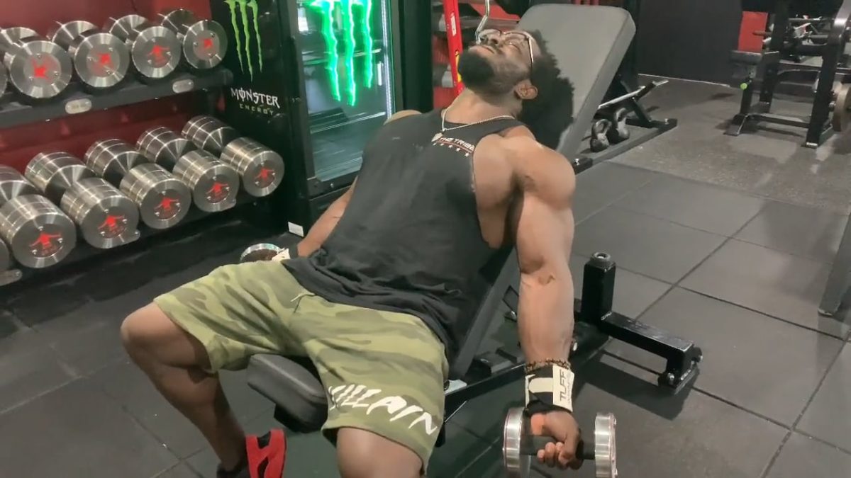 DB Only Bicep Blast