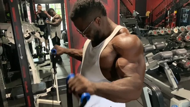 Biceps Bomb