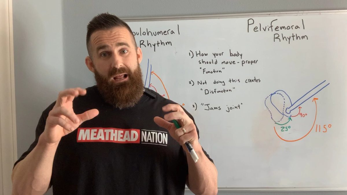 Scapulohumeral Rhythm