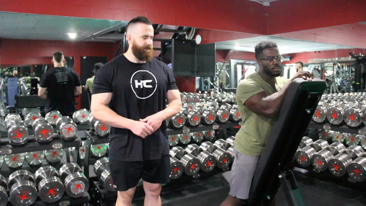 DB laterals raise